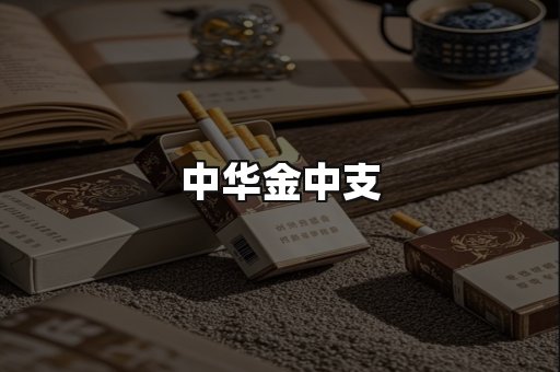 中华金中支